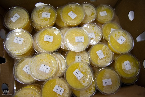 آئین عزاداری شهادت حضرت فاطمه الزهرا (س) در قطار ایران