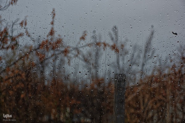 بارش باران پاییزی