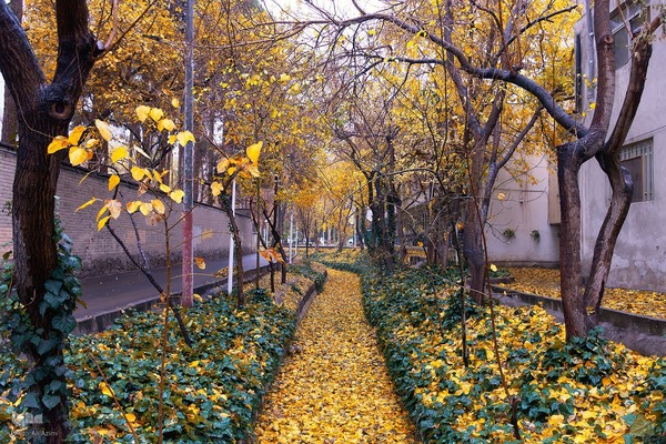 بارش باران پاییزی