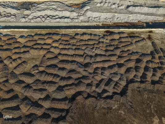 خوداتکایی در تولید شکر