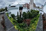 Journées du Patrimoine 2025 : immersion culturelle à la Grande Mosquée de Paris