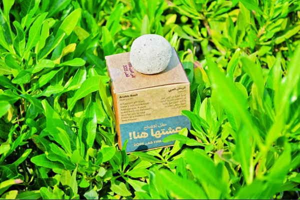 Инициатива Катарского Коранического сада по футболу в рамках Кубка арабских наций